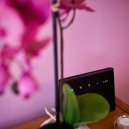 Apartment Capo - Old Town - Parking *