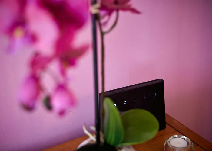 Apartment Capo - Old Town - Parking *